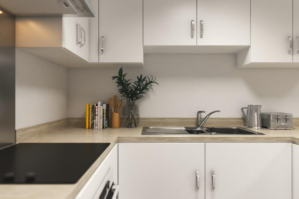 Beaulieu Park, CM1 6AU Shared Ownership